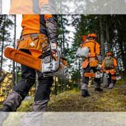 ������� ����, �������. �� ����