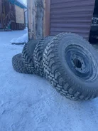 Forward Safari 540. ����� at, 2023 ���, �/�, ����� 5 % ����