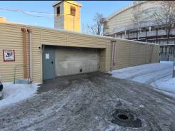 ���� ����� ����