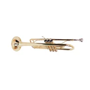 ����� Conductor FLT-TR-3 ����