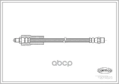 ����� ��������� | ��� ����/��� | Corteco ���. 19018525 19018525 ����