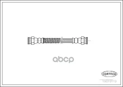 ����� ��������� ����� Corteco ���. 19019119 19019119 ����