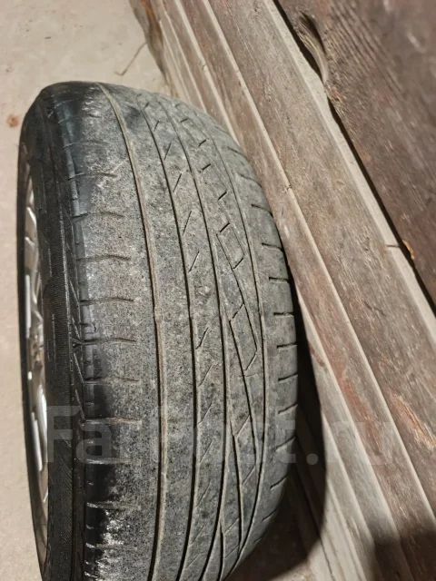Raguna M's STALLION. x15", 5x100 ����