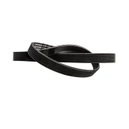 ������ ������������ Contitech Contitech 6PK1090 6PK1090 ����