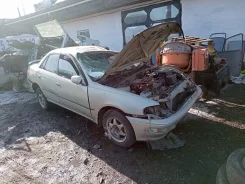 Toyota Carina. AT190, 4AFE ����