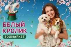 ��������. �� ��������� �.�. ����� �������� 137 ����