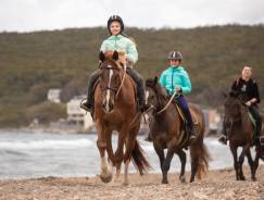 ����������. �� ����������� �.�. ����� ������� 38 ���. 2 ����