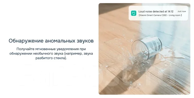IP-������. ����