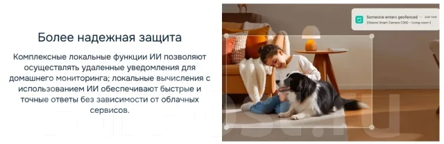 IP-������. ����