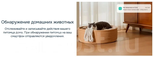 IP-������. ����