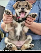 ������. ����
