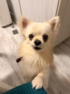 ��������. ����