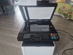 ��� ��������. ����