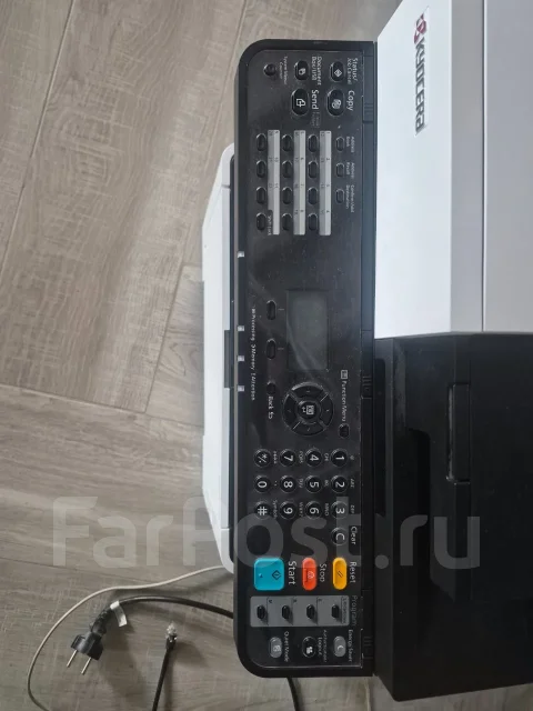 ��� ��������. ����