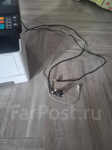 ��� ��������. ����