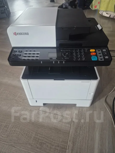 ��� ��������. ����