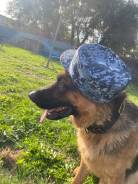 �������. ��� ����- 2 ������ ������ �� ����������� ����. ����� �������� 63 ����