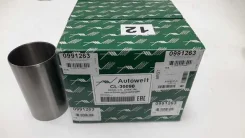 ������ Elantra MD 10-13 23041-2B910 (75,1/80/140 1.6i, ��� ����� ) Autowelt CL30090 ����