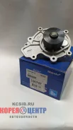����� ������� Captiva 06-11, Winstorm 06-10 96440224 (2.0D ) EWPD0018 ����