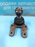 ������� ����� Nissan Atlas SP8F23, P8F23 Nissan Atlas SP8F23, P8F23 1993 [401603T425], ����� �������� 401603T425 ����