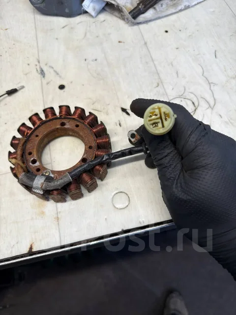 ����������. ����