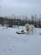 ���������� ������. ����