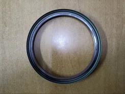 ������� ��������� ������ MAN TGA TGS TGX 812311300 812311300 ����