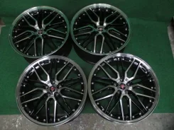 Kyoho Steiner LMX