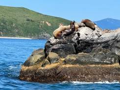 �������, ���������. �� �������� �.� ����