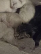 ����������� �����. ����