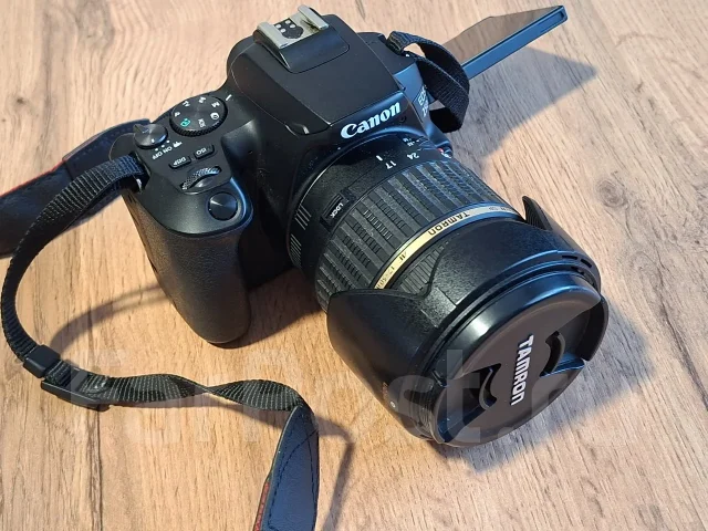 Canon EOS 250D ����