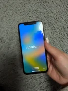 Apple iPhone X. �/�, 256 ��, ������ ����