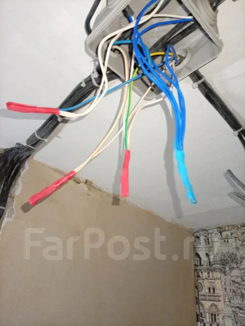 ���������. ����