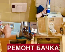 ����������. ����