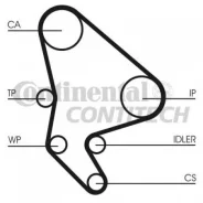 �������� ����� ��� Contitech CT987K1 Citroen / Peugeot: 083140 9629082280 081696 0816A8 0831R8 083141 083162 083182 083183 0816A9 9626157480. Fiat / C...