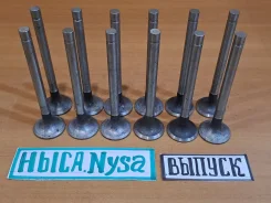 ������ ��������� NYSA 522. ZUK. ����, ��� NYSA522 ����