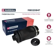 ������������ | ��� ����/��� | Marshall M8020847 M8020847 ����