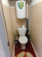 1-���������, ����� ����������� 12. �����, ������� ����, 33���.��., 5/5 ����, ������������� ������ ����