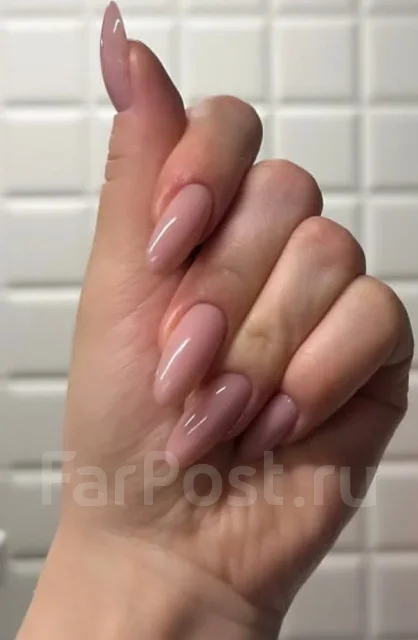 �������. ����