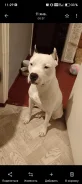 ������������ ��������������� ������. ����