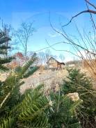 ���������� ��� ����� � �����, � ������� ����������� ���������. �-� ������� ������, ������� ���� 111.2��&sup2;, ������� ������� 15����., ��������, ����...