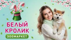 �������������. �� ��������� �.�. ����� ����� ������ 202 ����