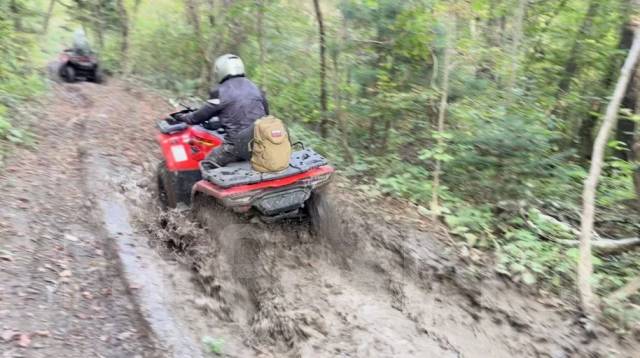 ������ ������ �� ������ ������ - ���������� ���������� �� ��������� ����