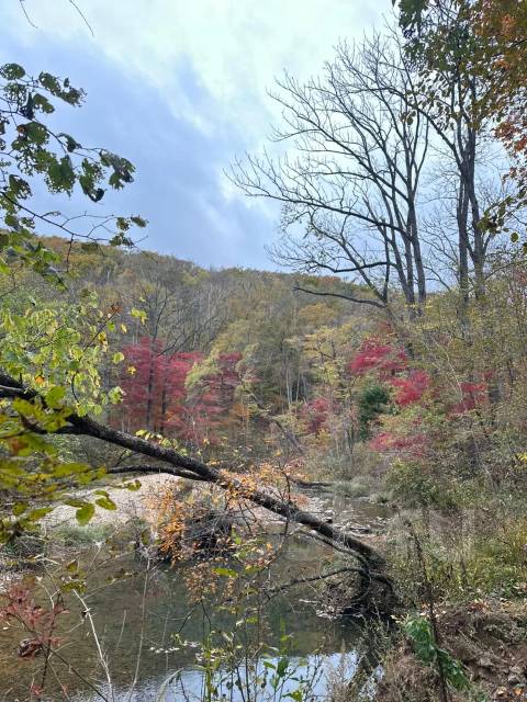 ������ ������ �� ������ ������ - ���������� ���������� �� ��������� ����