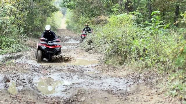 ������ ������ �� ������ ������ - ���������� ���������� �� ��������� ����