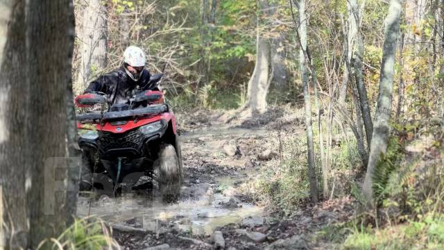 ������ ������ �� ������ ������ - ���������� ���������� �� ��������� ����