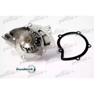 ����� ������� C-127 Citroen C5/C8 / Peugeot 406 2.2HDI 00- Patron PWP1139 PWP1139 ����