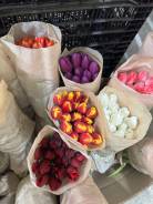 ��������. ������� ��. ���������� �� ��������� 46 ����