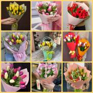 ��������. ����