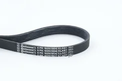 ������ ������������ ���������� Continental ���. 6PK1029Elast 6PK1029ELAST ����